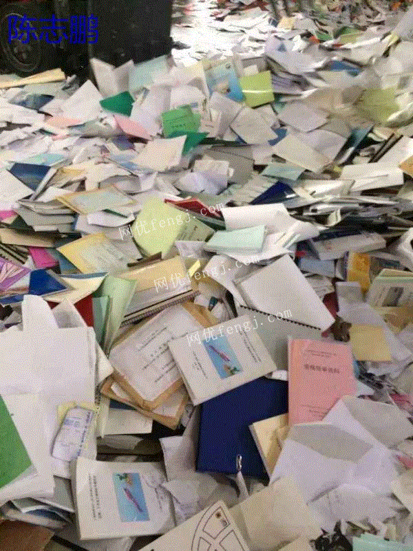 纸张的环境影响与回收