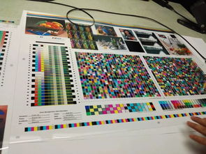 印刷色彩与色彩管理色彩基础答案