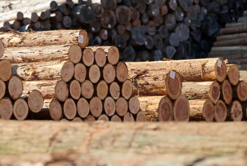 木材价格一般怎么算