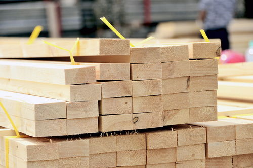 如何增加木材的产量